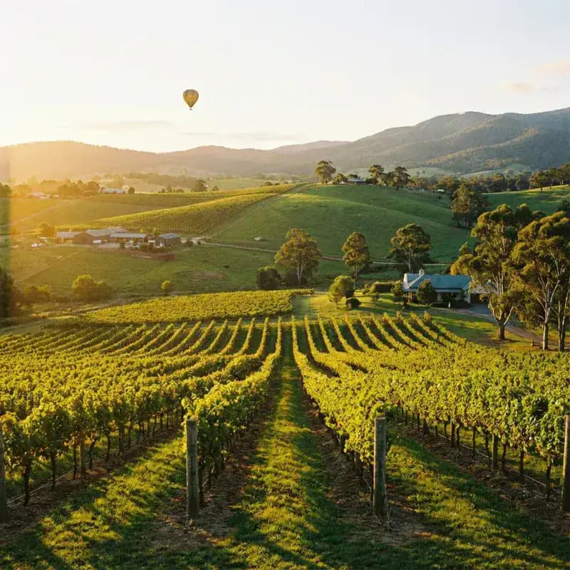 Yarra Valley