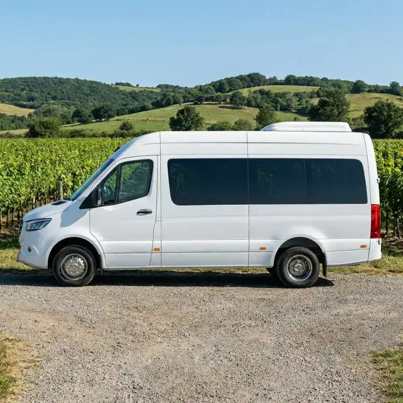 Luxury Minibus